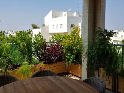 תמונות אחרי מספר חודשים של צמחייה